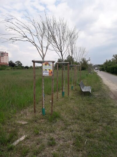 Ciclabile Sesto San Giovanni 13