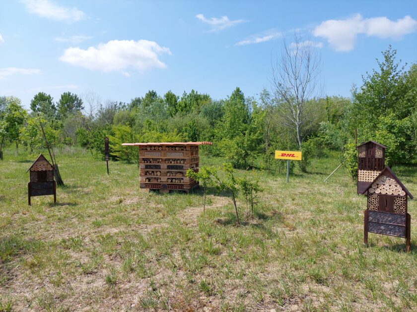 Oasi naturalistica martesana