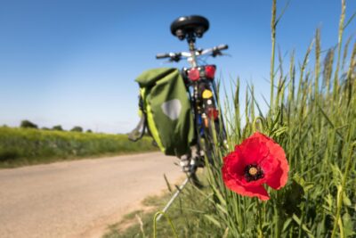 bicicletta