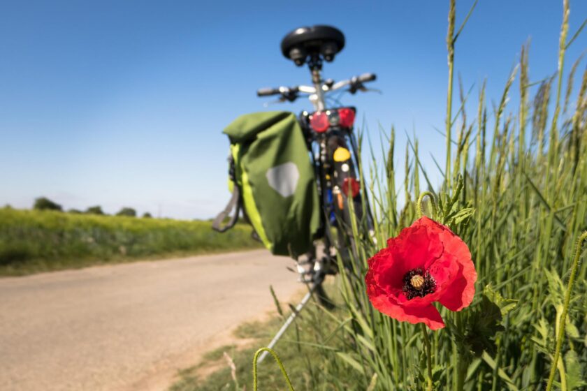 bicicletta