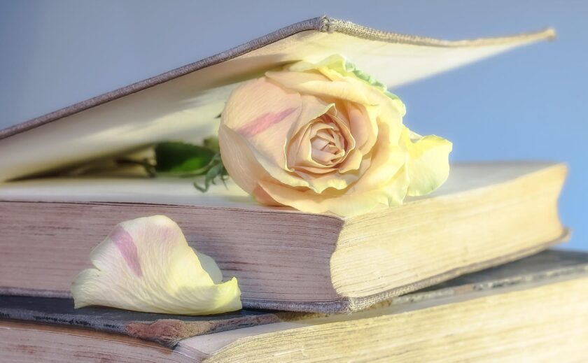 Maggio dei libri Sesto San Giovanni