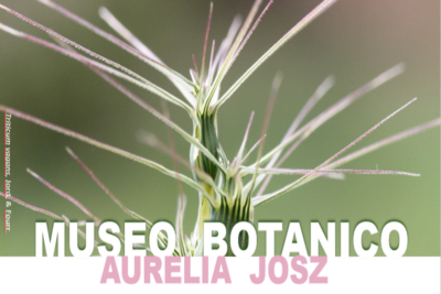 Museo Botanico