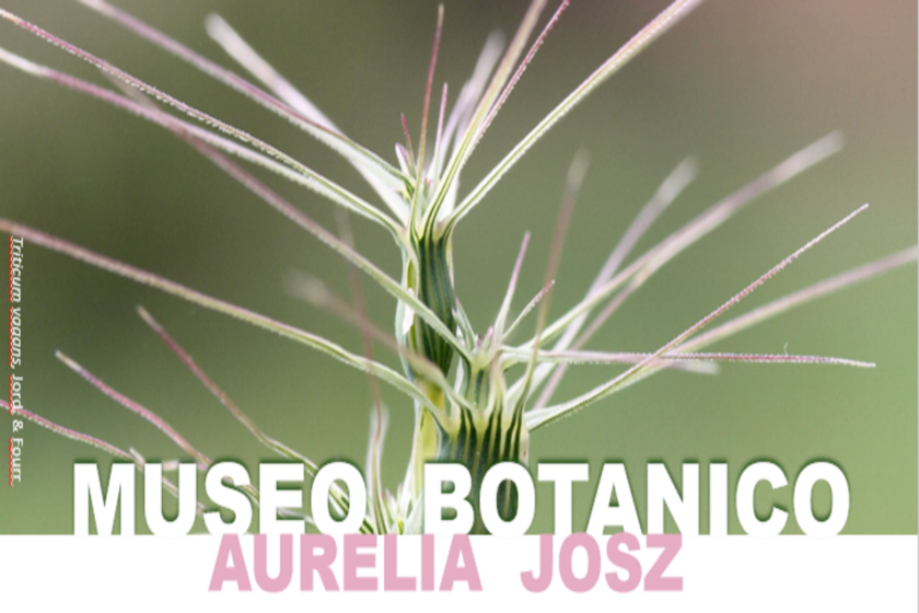 Museo Botanico