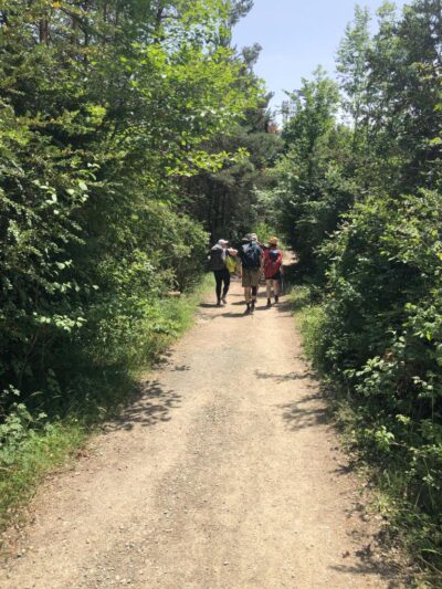 Cammino di Santiago 19