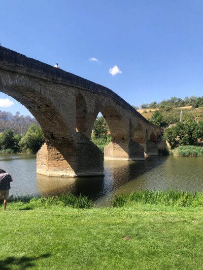 Cammino di Santiago 29