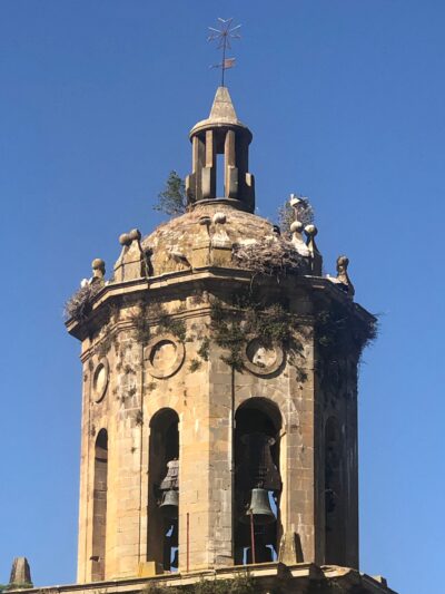 Cammino di Santiago 32