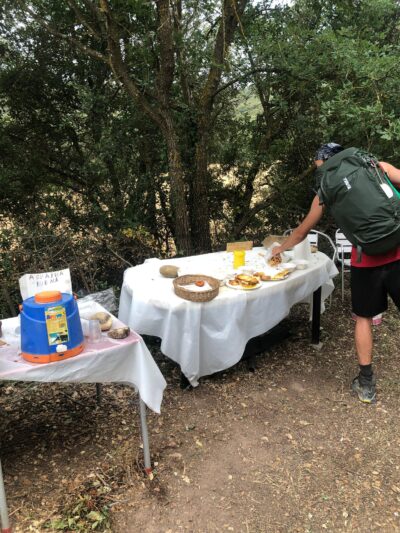 Cammino di Santiago 41