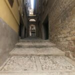 Cammino di Santiago 45