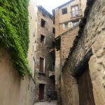Cammino di Santiago 46