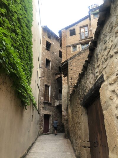 Cammino di Santiago 46