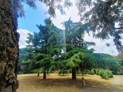 parco fratelli martino