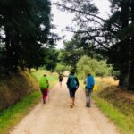 Cammino di Santiago 623