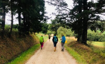 Cammino di Santiago 623