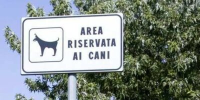 aree cani