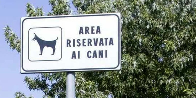 aree cani