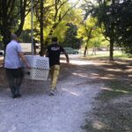 Recupero anatre San Donato 02