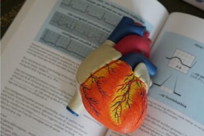 cuore