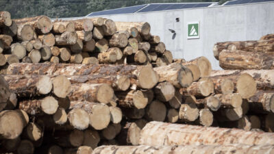 legno