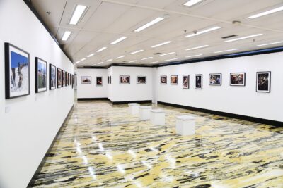 Mostra Amedeo Vergani