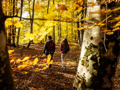 autunno