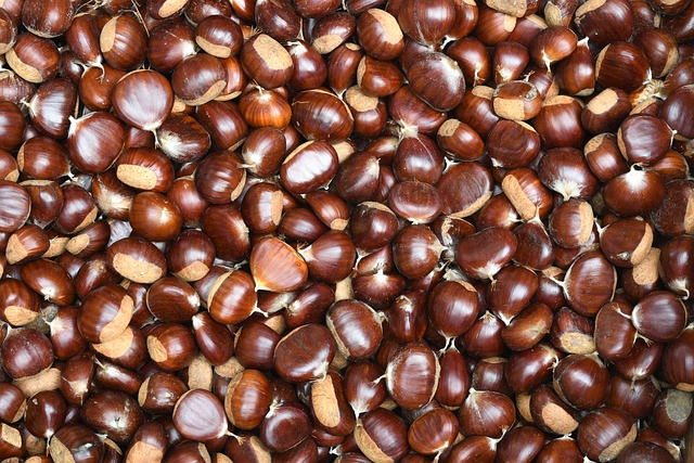 castagne