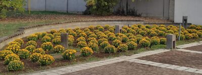 cimitero pioltello