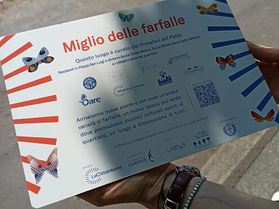 miglio farfalle