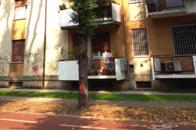 pianta san donato
