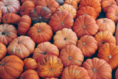zucca