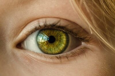 retina
