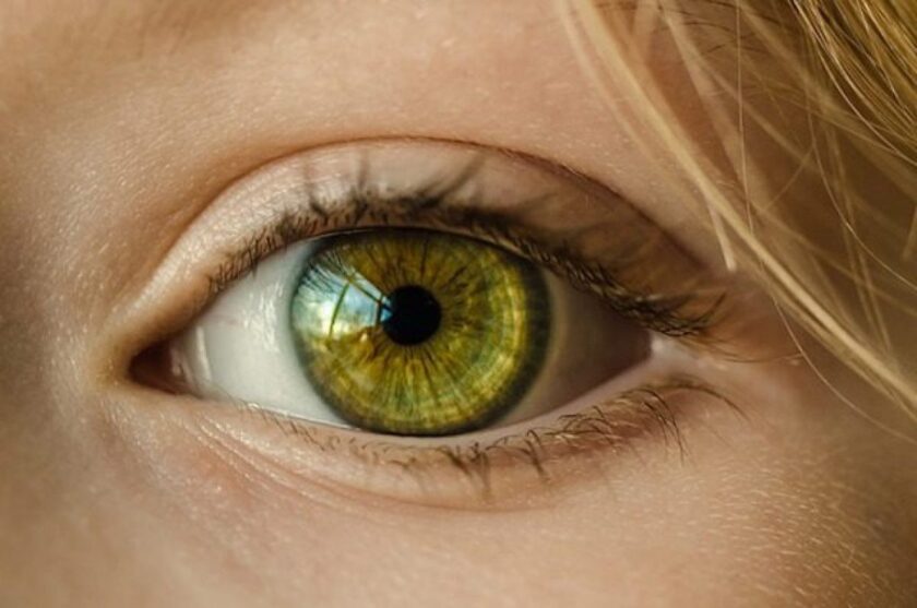 retina