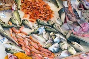 Meno carne piu pesce azzurro 10 consigli del pediatra per una dieta sana anti caro spesa