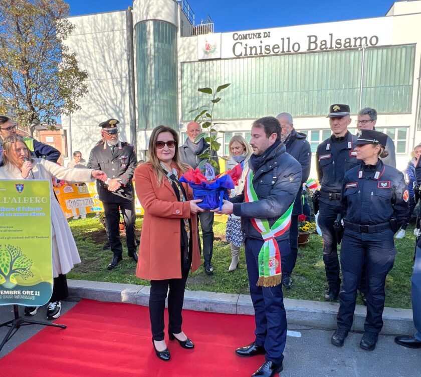 cinisello albero