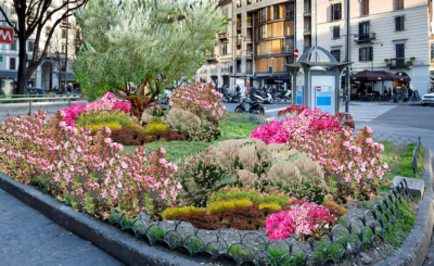 aiuola milano