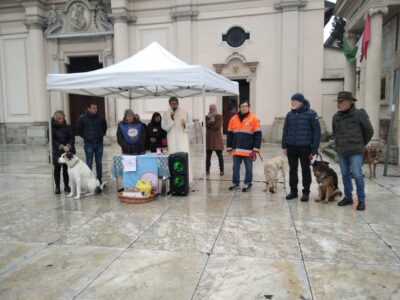 benedizione animali cinisello