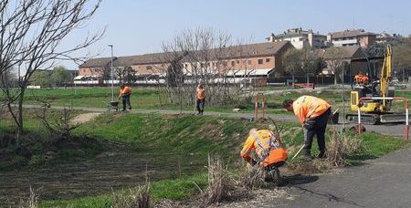 lavori verde sgm