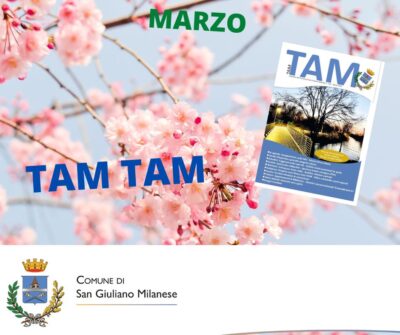 tam tam
