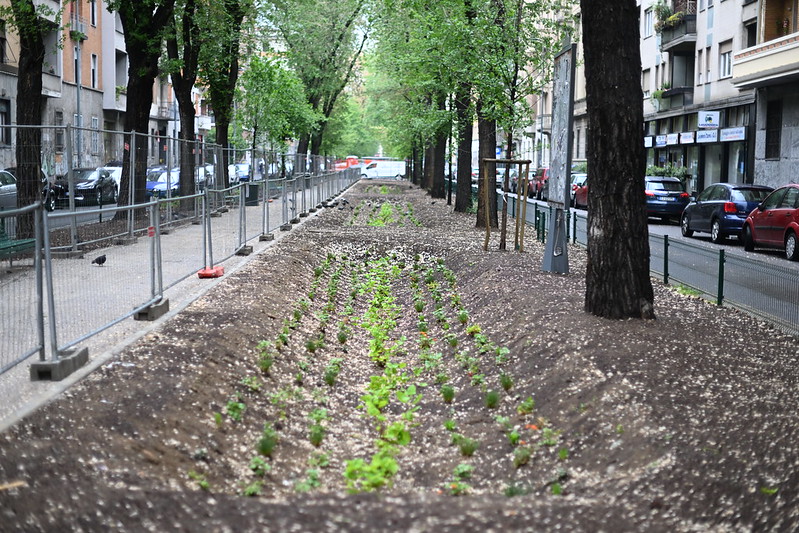 via Pacini