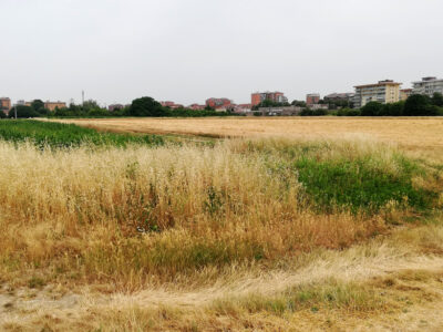 La campagna fra Civesio e Borgolombardo