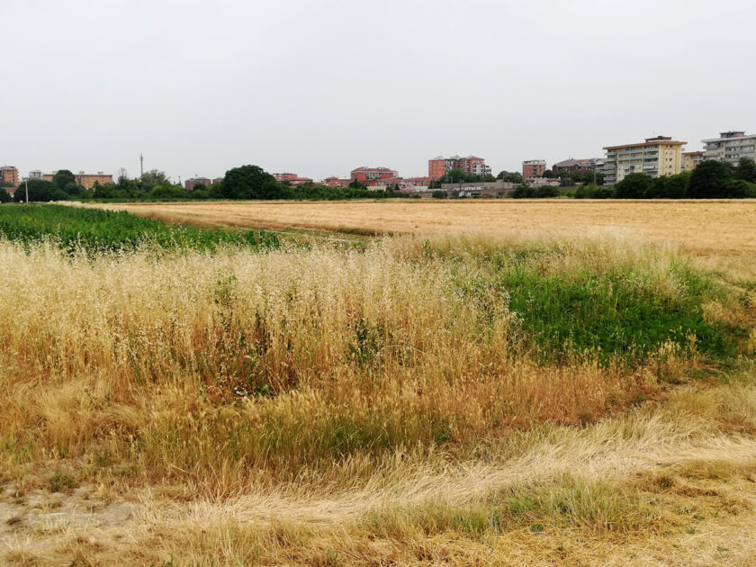 La campagna fra Civesio e Borgolombardo