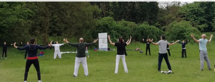 tai chi
