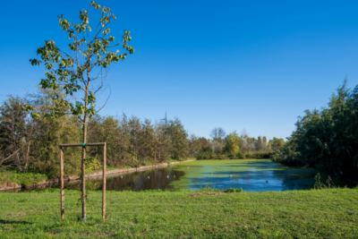 Parco-Agricolo-sud-Milano-Canale-Naviglio-Vettabbia-San-Giuliano-Milanese