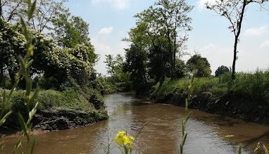 Parco basso olona
