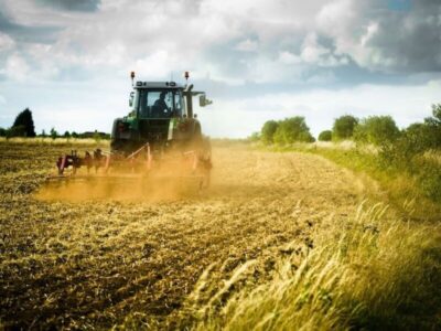 agricoltura