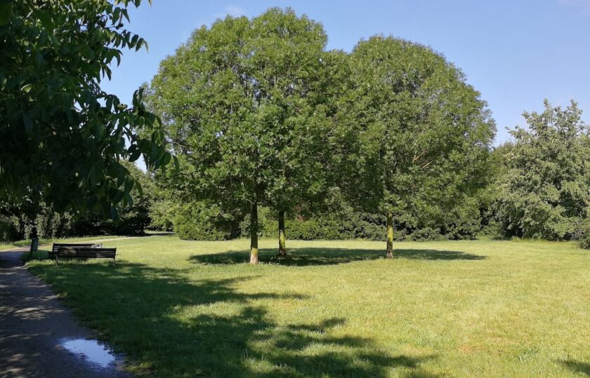 parco grubria cinisello