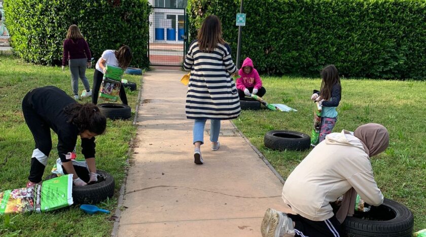 social day
