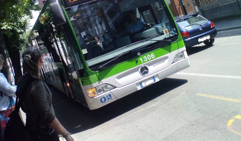 bus
