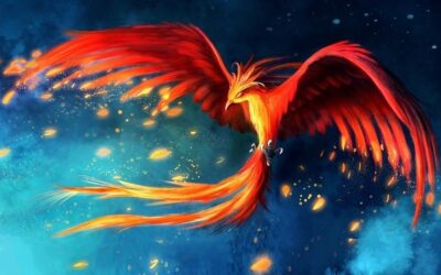 fenice