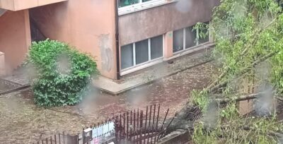 cologno danni 2