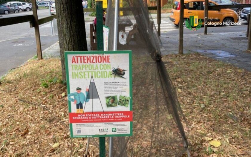 trappole popillia